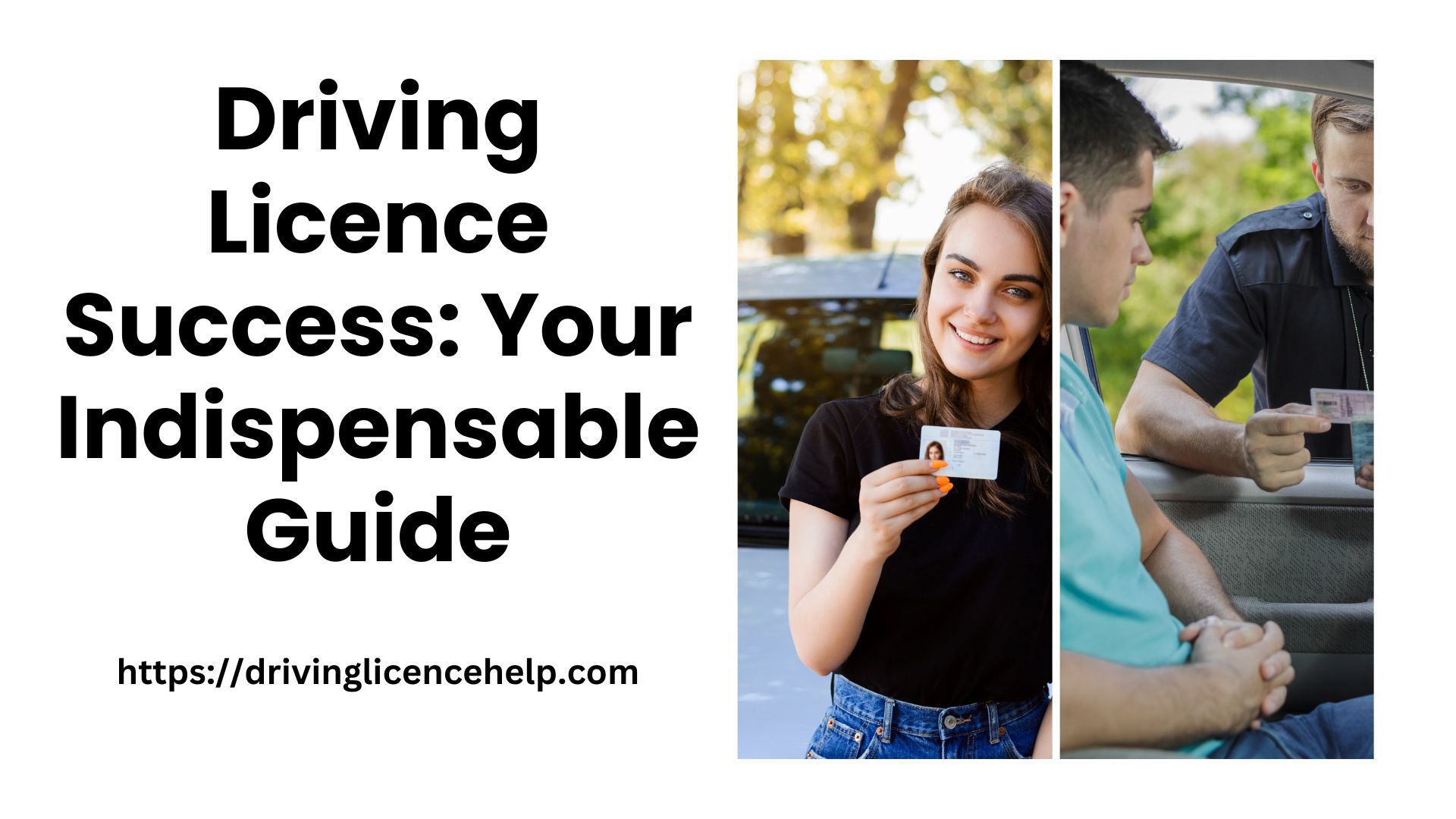 Driving Licence Success Your Indispensable Guide