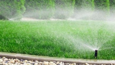 The Ultimate Guide to Sprinkler Installations Everything You Need to Know