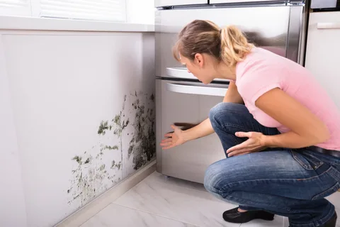 How Often Should Mold Testing Be Done?