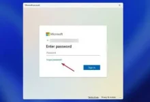 Enter Your Microsoft Code