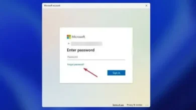 Enter Your Microsoft Code